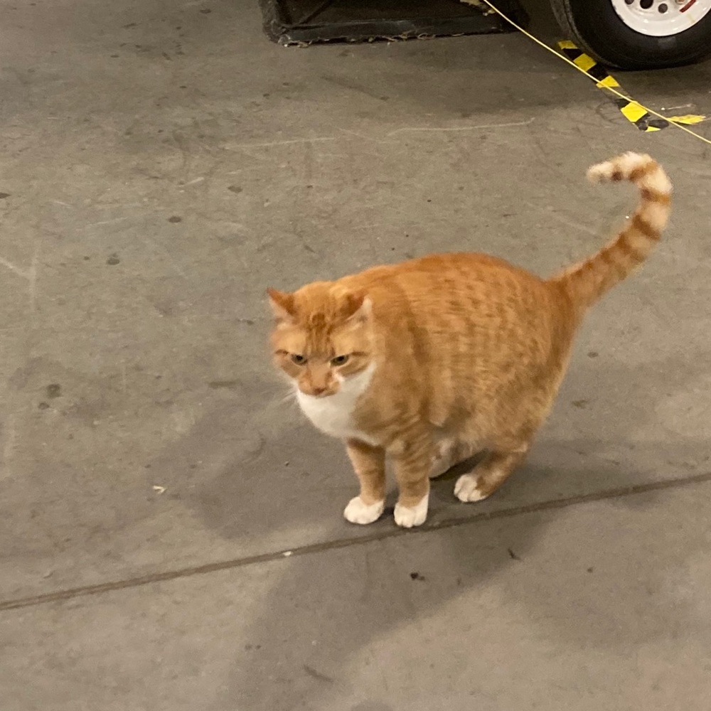 Meet your Posher, Benjamin